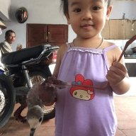 Nguyentana9