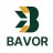 bavorconsulting
